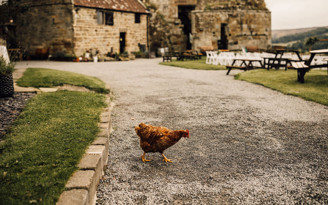 REASONS NO 9 TO GET MARRIED AT DANBY CASTLE